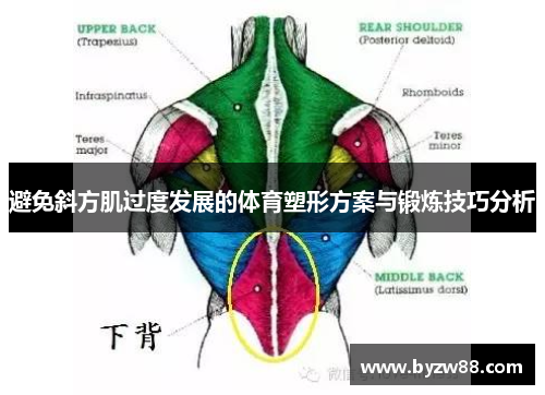避免斜方肌过度发展的体育塑形方案与锻炼技巧分析